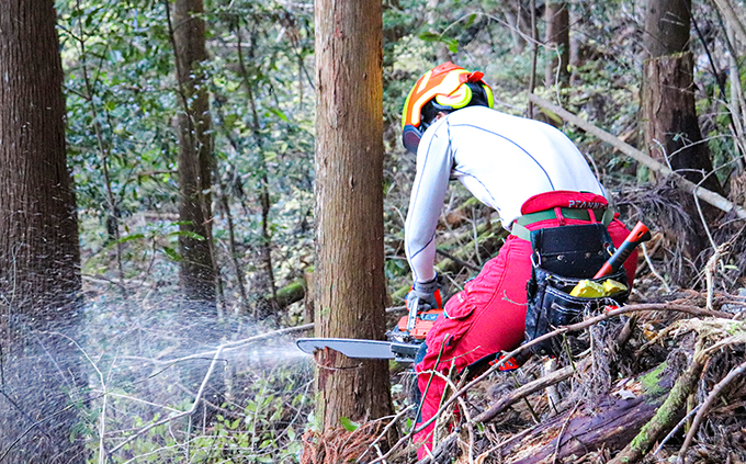 【SDGs】いの町オリジナル木製しおり＆コースター（風景3種）セット