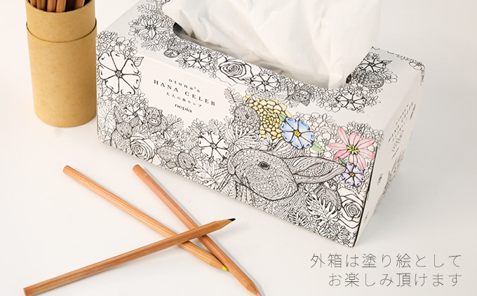 大人の鼻セレブ20箱セット