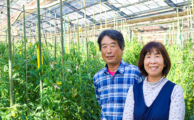 【数量限定】水田さんのフルーツトマト２㎏定期便（全3回 / 2・3・4月お届け / 化粧箱入）