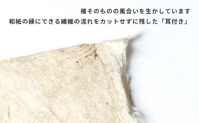 【奏華舎】土佐和紙カード＆染紙封筒セット（ボタニカル / アソート３種）