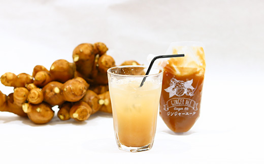 Japan Ginger厳選お試しセット（各種1本）