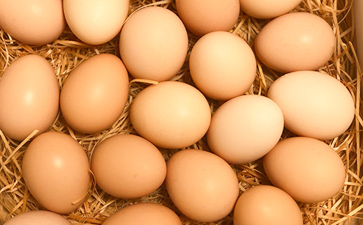 土佐ジロー卵の米粉フィナンシェ（５個）