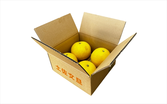 土佐文旦　家庭用2kg（池上果樹園）