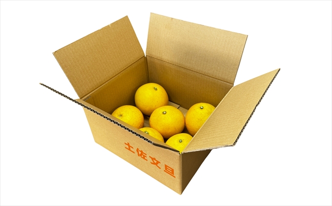 土佐文旦　家庭用3kg（池上果樹園）