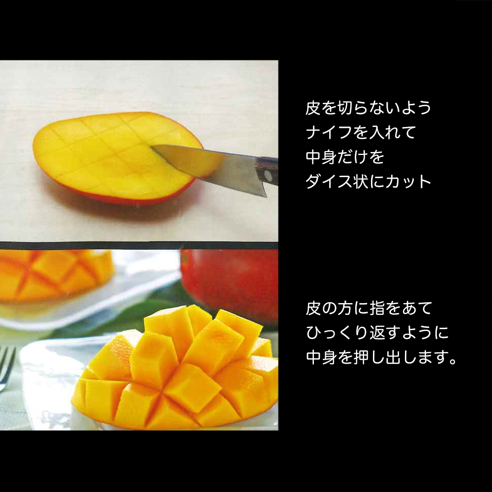 かおる・とろける！土佐マンゴー10個