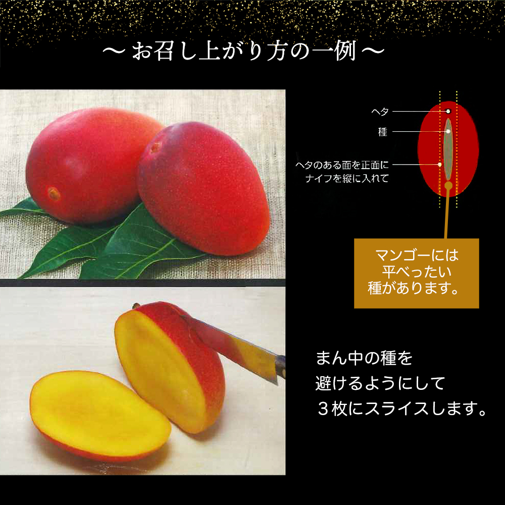 土佐マンゴー定期便【限定300セット】全3回