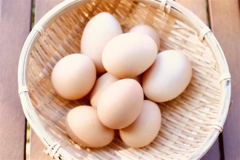 土佐ジロー黄色プリン（3個）と白いプリン（2個）