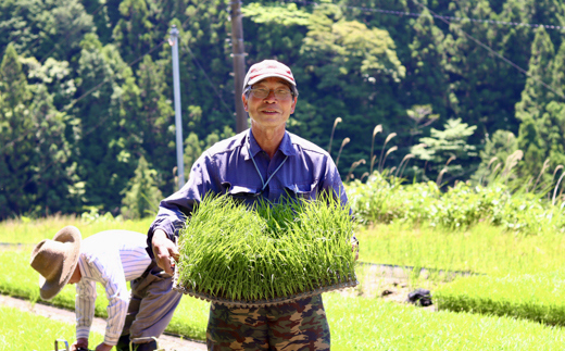 上東産　仁淀米【2025年10月末から発送】