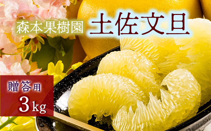 土佐文旦贈答用約3ｋｇ（森本果樹園）
