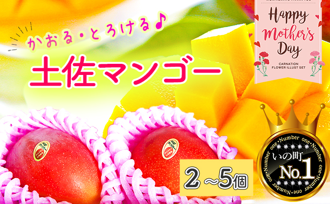 【母の日にお届け】かおる・とろける！土佐マンゴー(2～5個)