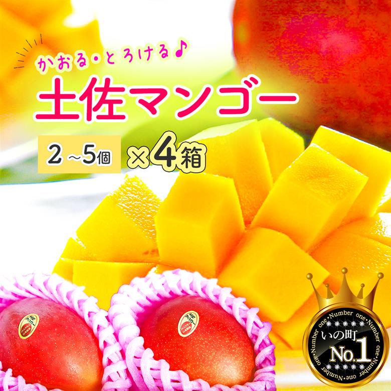 かおる・とろける！土佐マンゴー(2～5個)×４箱