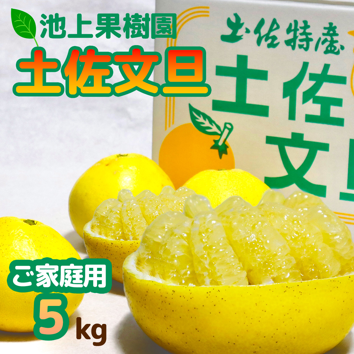 土佐文旦　家庭用5kg（池上果樹園）