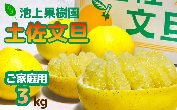 土佐文旦　家庭用3kg（池上果樹園）