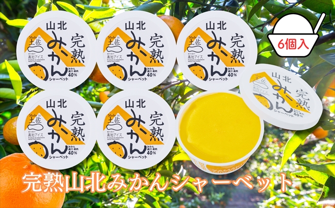 Made in 土佐★完熟山北みかんシャーベット6個（高知アイス）