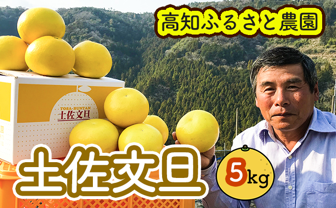 土佐文旦贈答用約5ｋｇ（高知ふるさと農園）