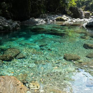 0082001によどヒノキウォーター（300mlスプレー/１本）