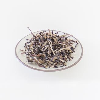 0102203高知県産仁淀川きくらげスライスタイプ 100g×1袋（仁淀川町ツボイ産）