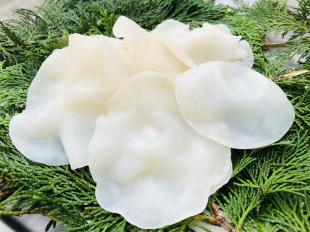 0142204高知県産仁淀川白いきくらげホールタイプ 80g×1袋（仁淀川町ツボイ産）