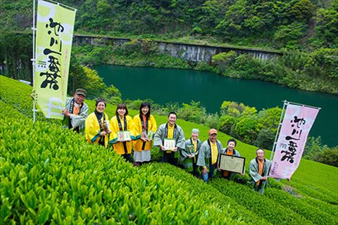 0360201池川茶業組合の煎茶詰め合わせ
