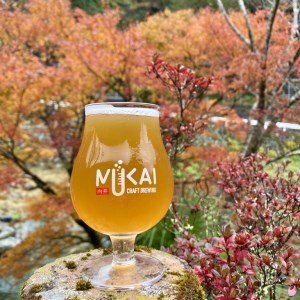 0143101ムカイクラフトブルーイング　Geo[ジオ]シリーズ　2種各２本セット