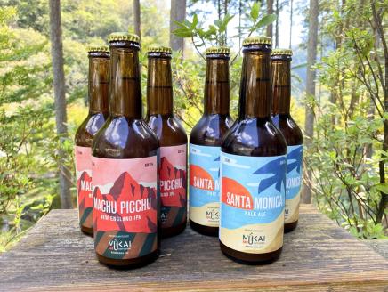 0223101ムカイクラフトブルーイング　Geo[ジオ]シリーズ　2種各３本セット