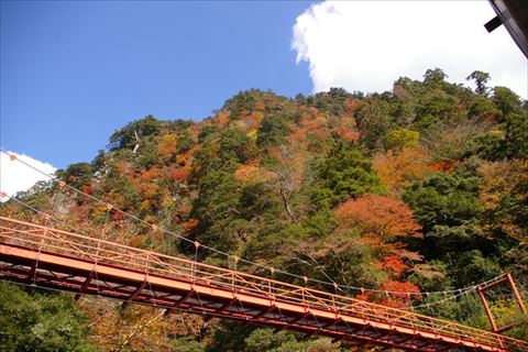 宝来荘ひとり旅(１泊２食付)お部屋タイプ：バンガロー