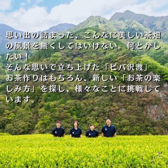 0110502旨みを味わう！おてがるお茶セット（緑茶２種　ティーバック２種）