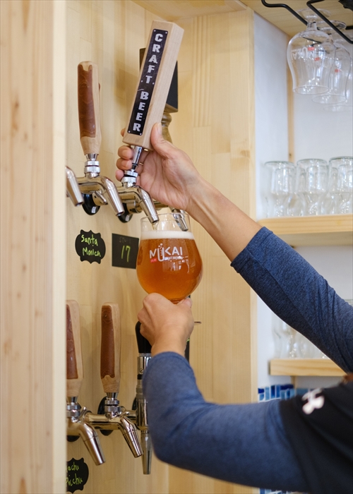 奇跡の清流 仁淀川 天然水仕込みのクラフトビール（３種各1本セット）