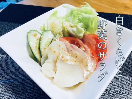 「生」白きくらげ ４００ｇ（高知県仁淀川町産）