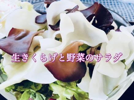 0102204「生」黒きくらげ（250ｇ）と「生」白きくらげ（200ｇ）の食べ比べセット（高知県仁淀川町産）