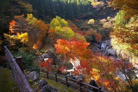 0710702宝来荘ペア(１泊２食付)プラン　お部屋タイプ：バンガロー