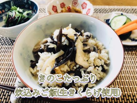 0092205「生」黒きくらげ ５００ｇ（高知県仁淀川町産）