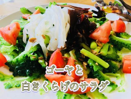 0102204「生」黒きくらげ（250ｇ）と「生」白きくらげ（200ｇ）の食べ比べセット（高知県仁淀川町産）