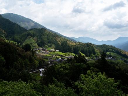 0212001摘み草ブレンドティー４種セット