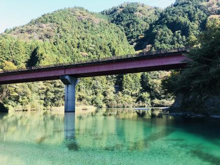 0262202高知県産仁淀川きくらげホールタイプ 100g×3袋（仁淀川町ツボイ産）