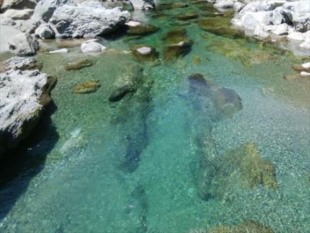 0452401鮎屋仁淀川　天然鮎1kg（14-28尾）