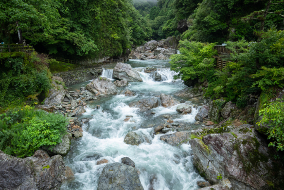 1180801 中津渓谷 ゆの森 コテージペア宿泊素泊まり宿泊プラン