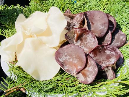 0102204「生」黒きくらげ（250ｇ）と「生」白きくらげ（200ｇ）の食べ比べセット（高知県仁淀川町産）