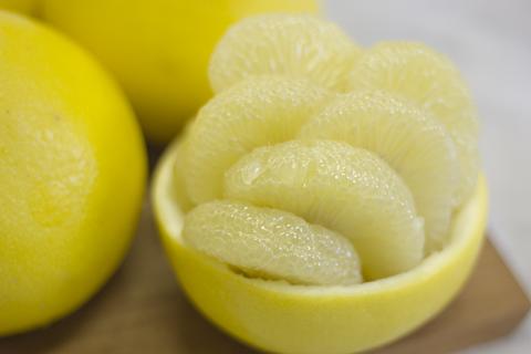 0121601早春の味わい　つやつやに輝く土佐文旦※令和8年３月下旬頃からの発送