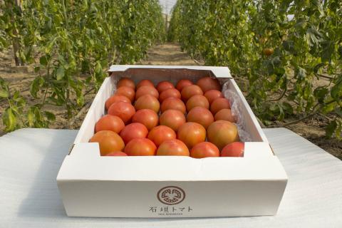 0212502大満足　石垣トマト(１箱約2.5kg)　※令和8年５月下旬まで受付中