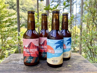 0143101ムカイクラフトブルーイング　Geo[ジオ]シリーズ　2種各２本セット