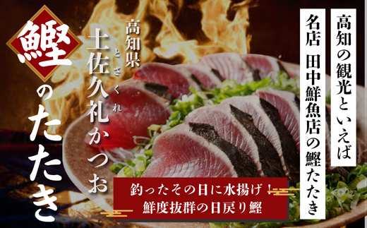【初鰹・戻り鰹 食べ比べ定期便】 先行予約 R8 4月・10月 お届け 漁師町の老舗魚屋大将が厳選した本格生カツオ 藁焼きタタキ (約900g) 6～7人前 冷蔵 高知 久礼 田中鮮魚店 かつおのたたき わら焼き 薬味 タレ付き 塩 日戻り 生鰹 本場 新鮮 タタキ 鰹のタタキ 全2回定期便 約900g(6～7人前)