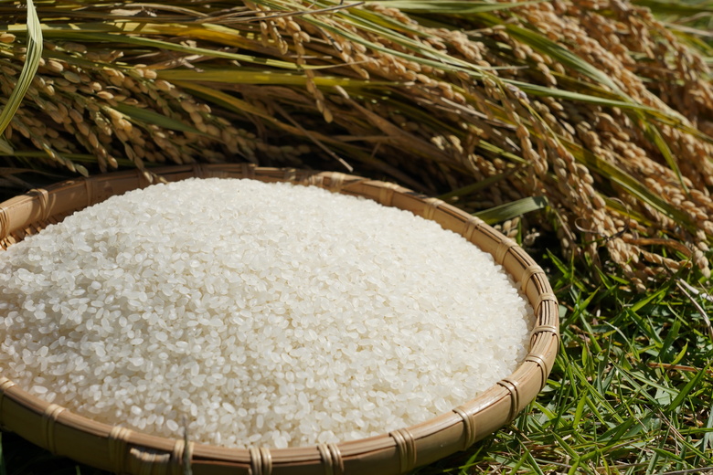 楼古狸（生） どぶろく 濁酒 にごり酒 酒 米 生 高知県 四万十 大野見  農家 清水園