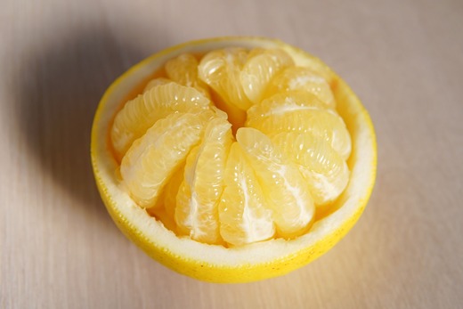 〈 先行予約受付中 〉 潮風の恵みで育った津野さんの土佐文旦 3・4・5L混合 家庭用 10kg 文旦 ブンタン ぶんたん 高知 土佐 果物 甘い 柑橘 フルーツ