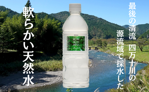 四万十の純天然水 500ml × 24本 ミネラルウォーター 天然水 ペットボトル 水 500ml 四万十川 500ml × 24本