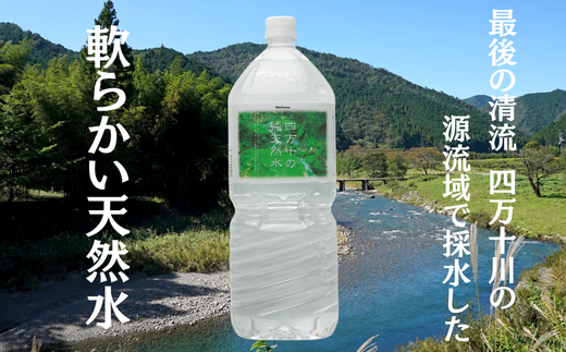 【 定期便 全12回 】 四万十の純天然水 2L × 6本 ミネラルウォーター 天然水 ペットボトル  水 2リットル 四万十川 2L × 6本 定期便12回