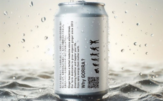 ジンジャービール 350ml 2本セット 生姜 缶ビール エールビール 2本セット