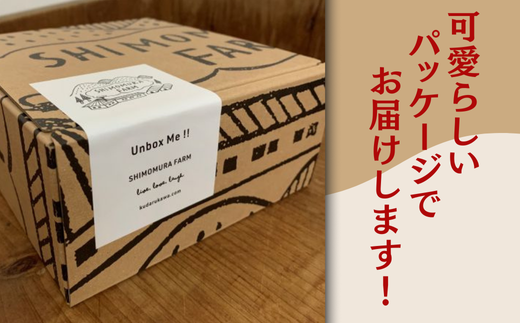 しょうがのあったかギフトボックス しょうがシロップ ジンジャーシロップ しょうが ジャム 煮びたし セット プレゼント 贈り物