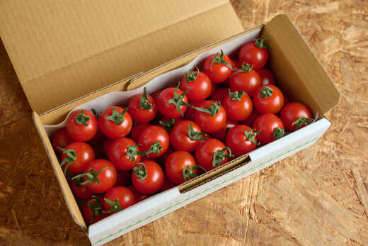 フルーツミニトマト 『 くれまるこ 』 1.2kg フルーツトマト ふるーつとまと とまと トマト 甘い 濃厚 美味しい 箱詰め 高知 久礼 宇井農園 1.2kg