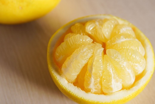 〈 先行予約受付中 〉 潮風の恵みで育った津野さんの土佐文旦 3・4・5L混合 家庭用 10kg 文旦 ブンタン ぶんたん 高知 土佐 果物 甘い 柑橘 フルーツ